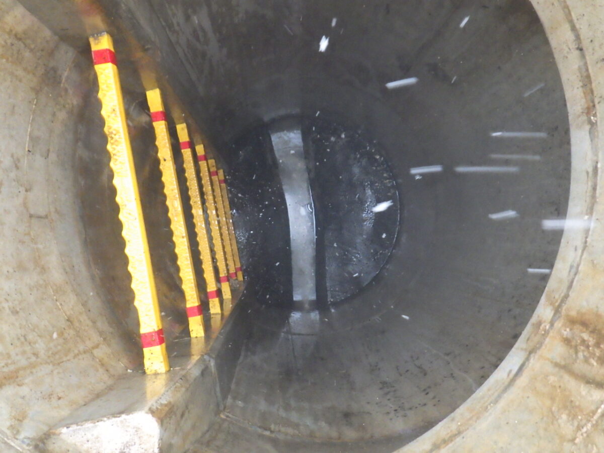 写真:除去後の様子