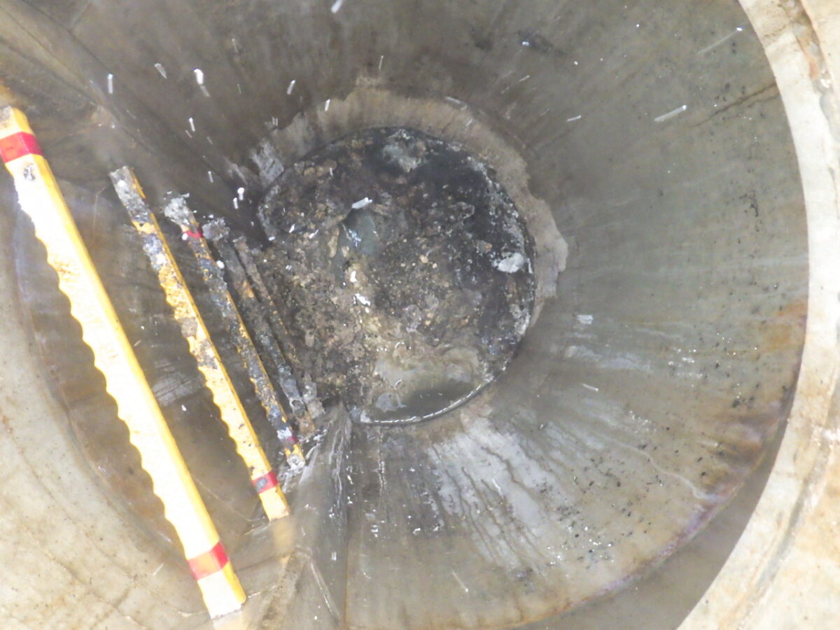 写真:除去前の様子